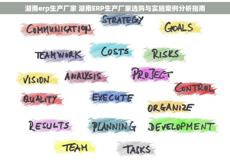 湖南erp生产厂家 湖南ERP生产厂家选购与实施案例分析指南