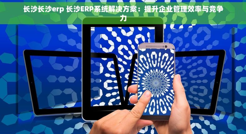 长沙长沙erp 长沙ERP系统解决方案：提升企业管理效率与竞争力