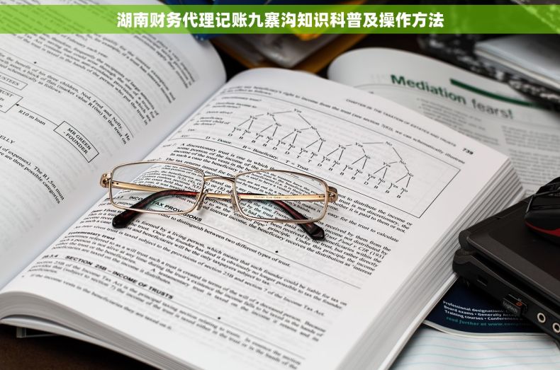 湖南财务代理记账九寨沟知识科普及操作方法