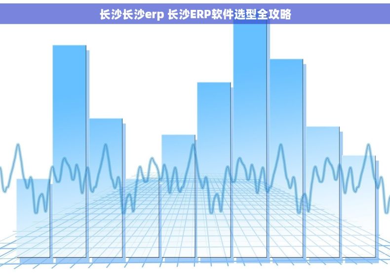 长沙长沙erp 长沙ERP软件选型全攻略