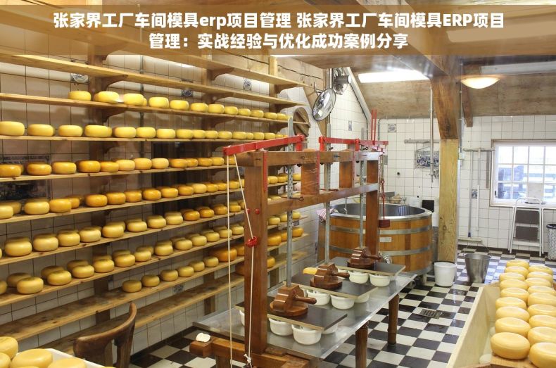 张家界工厂车间模具erp项目管理 张家界工厂车间模具ERP项目管理：实战经验与优化成功案例分享