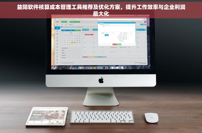 益阳软件核算成本管理工具推荐及优化方案，提升工作效率与企业利润最大化