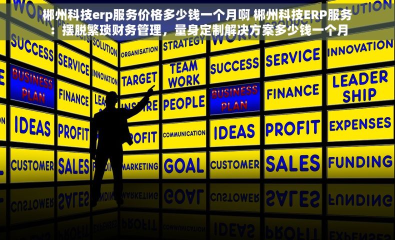 郴州科技erp服务价格多少钱一个月啊 郴州科技ERP服务：摆脱繁琐财务管理，量身定制解决方案多少钱一个月