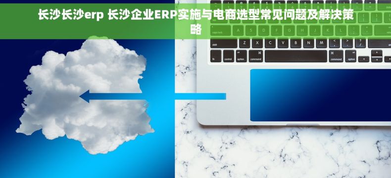 长沙长沙erp 长沙企业ERP实施与电商选型常见问题及解决策略