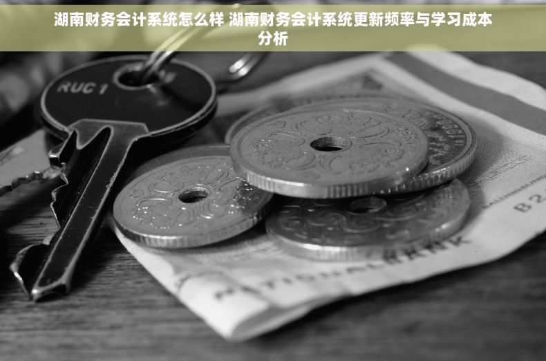 湖南财务会计系统怎么样 湖南财务会计系统更新频率与学习成本分析