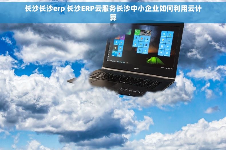 长沙长沙erp 长沙ERP云服务长沙中小企业如何利用云计算