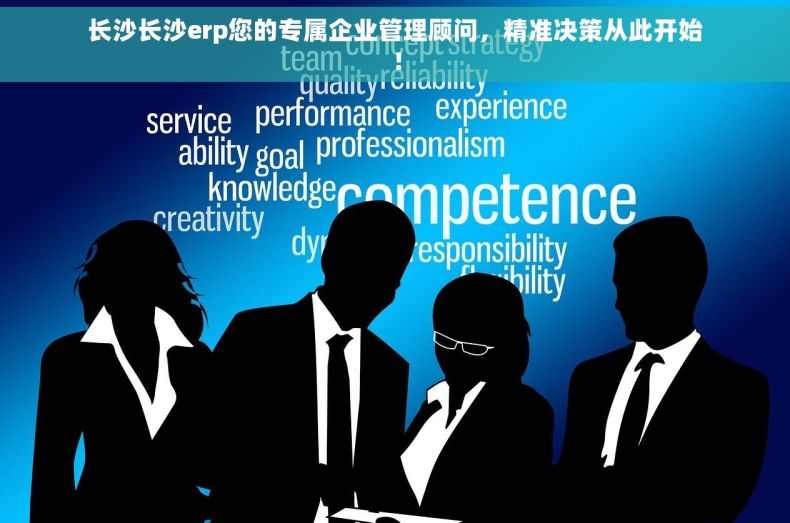 长沙长沙erp您的专属企业管理顾问，精准决策从此开始！