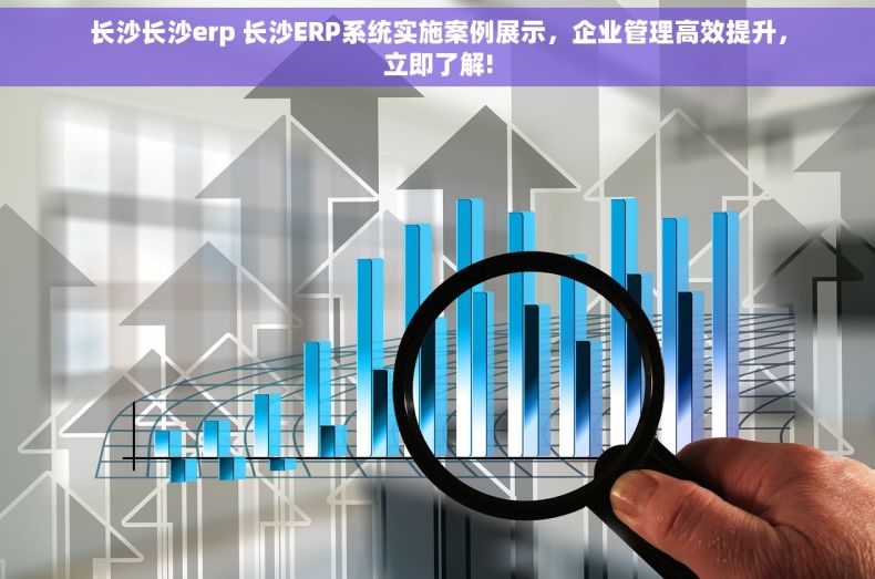 长沙长沙erp 长沙ERP系统实施案例展示，企业管理高效提升，立即了解!