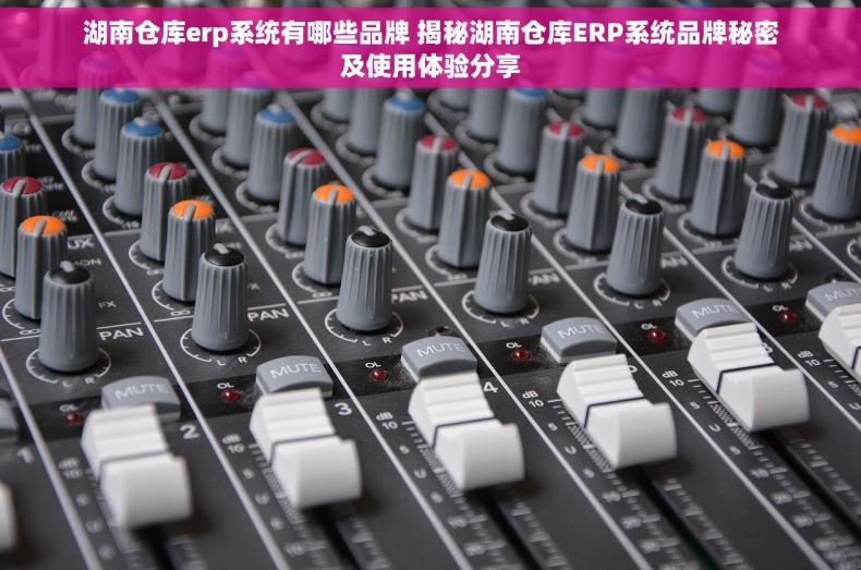 湖南仓库erp系统有哪些品牌 揭秘湖南仓库ERP系统品牌秘密及使用体验分享