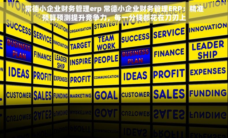 常德小企业财务管理erp 常德小企业财务管理ERP：精准预算预测提升竞争力，每一分钱都花在刀刃上