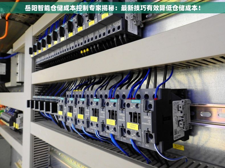岳阳智能仓储成本控制专家揭秘：最新技巧有效降低仓储成本！
