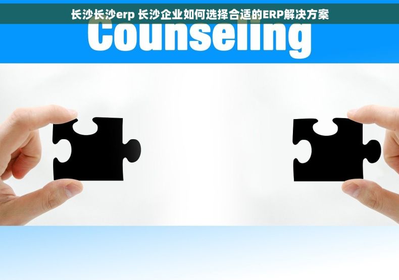 长沙长沙erp 长沙企业如何选择合适的ERP解决方案