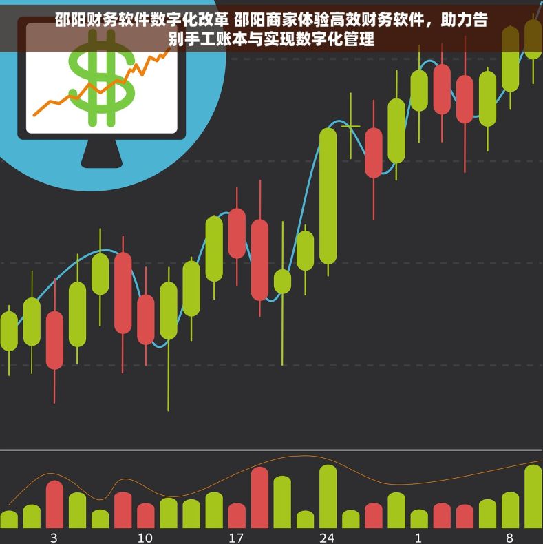 邵阳财务软件数字化改革 邵阳商家体验高效财务软件，助力告别手工账本与实现数字化管理