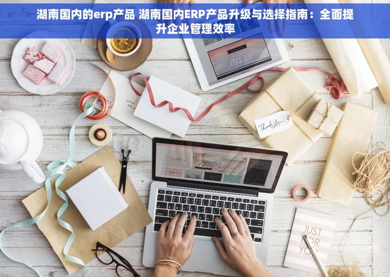 湖南国内的erp产品 湖南国内ERP产品升级与选择指南：全面提升企业管理效率