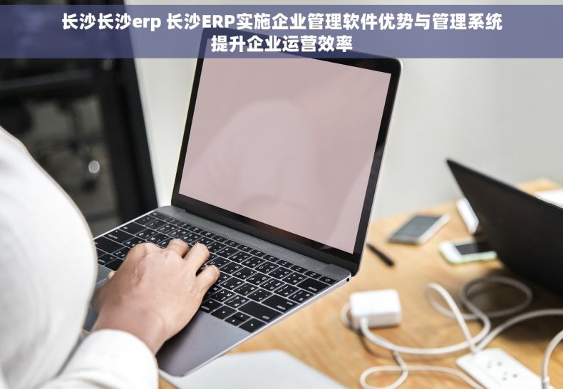 长沙长沙erp 长沙ERP实施企业管理软件优势与管理系统提升企业运营效率