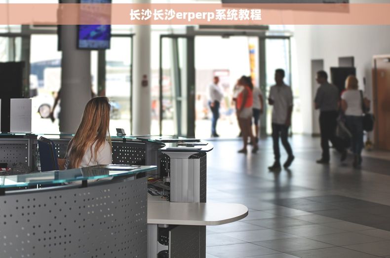 长沙长沙erperp系统教程
