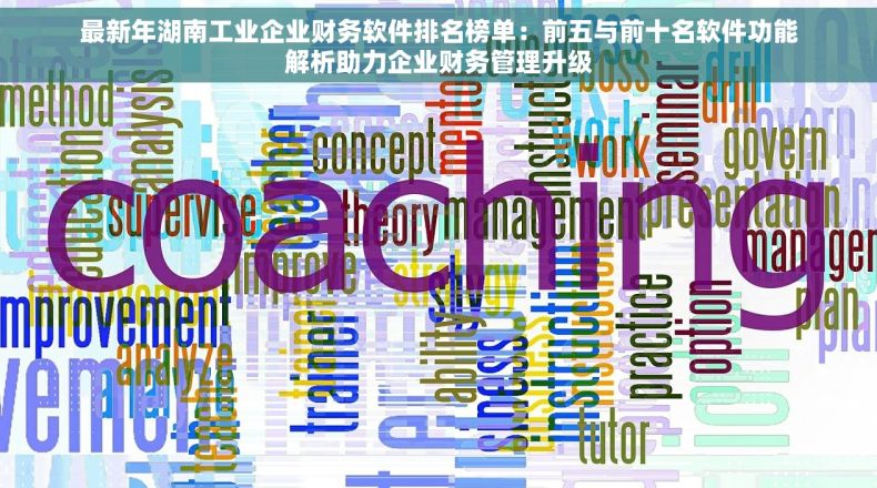 最新年湖南工业企业财务软件排名榜单：前五与前十名软件功能解析助力企业财务管理升级