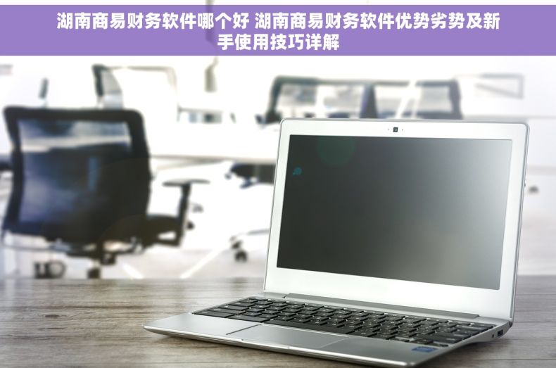 湖南商易财务软件哪个好 湖南商易财务软件优势劣势及新手使用技巧详解