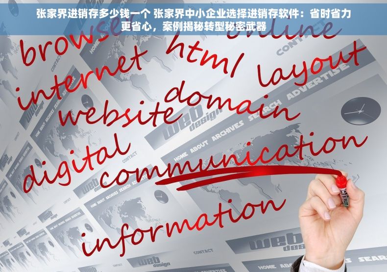 张家界进销存多少钱一个 张家界中小企业选择进销存软件：省时省力更省心，案例揭秘转型秘密武器