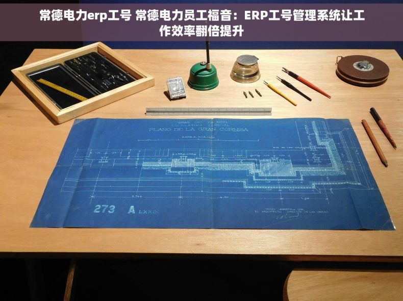 常德电力erp工号 常德电力员工福音：ERP工号管理系统让工作效率翻倍提升