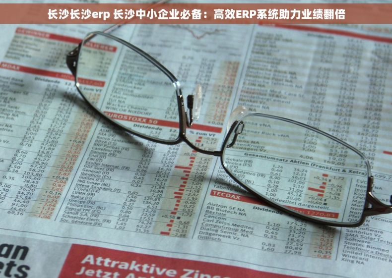 长沙长沙erp 长沙中小企业必备：高效ERP系统助力业绩翻倍