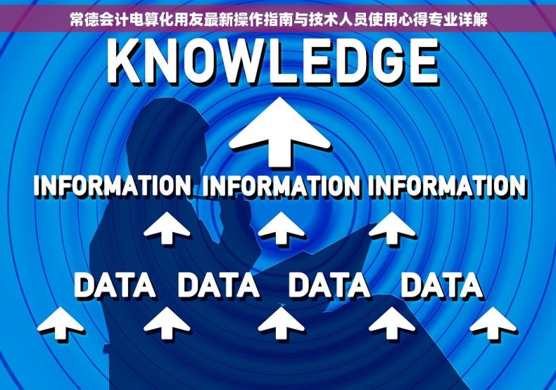 常德会计电算化用友最新操作指南与技术人员使用心得专业详解