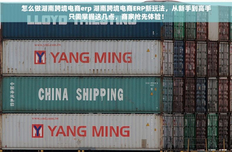 怎么做湖南跨境电商erp 湖南跨境电商ERP新玩法，从新手到高手只需掌握这几点，商家抢先体验！