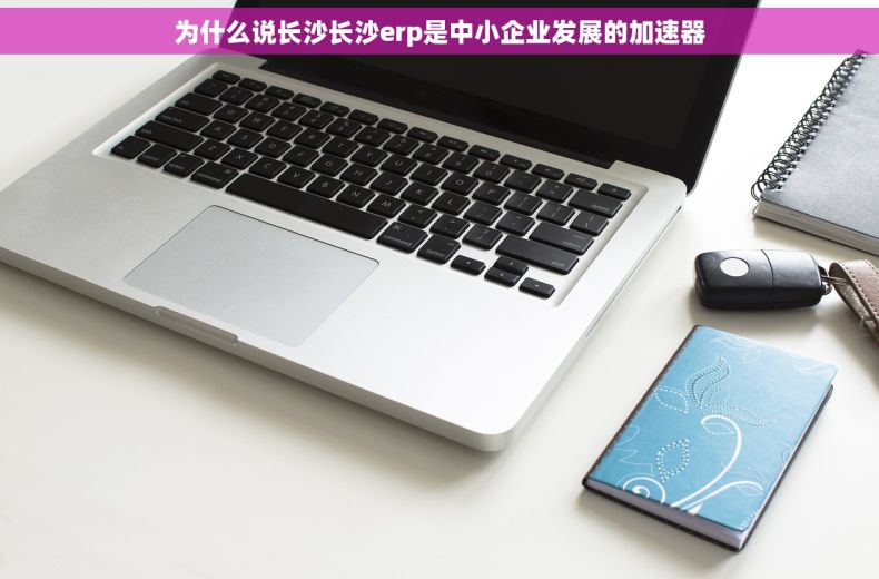 为什么说长沙长沙erp是中小企业发展的加速器