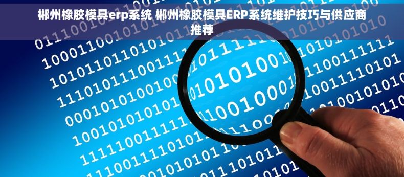 郴州橡胶模具erp系统 郴州橡胶模具ERP系统维护技巧与供应商推荐