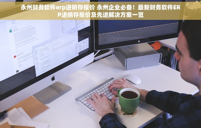 永州财务软件erp进销存报价 永州企业必备！最新财务软件ERP进销存报价及先进解决方案一览