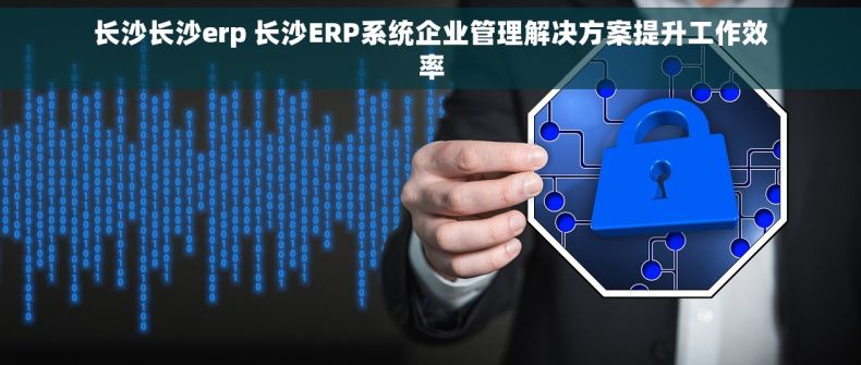 长沙长沙erp 长沙ERP系统企业管理解决方案提升工作效率
