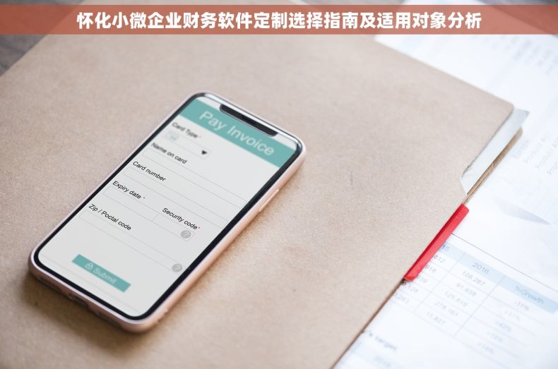 怀化小微企业财务软件定制选择指南及适用对象分析