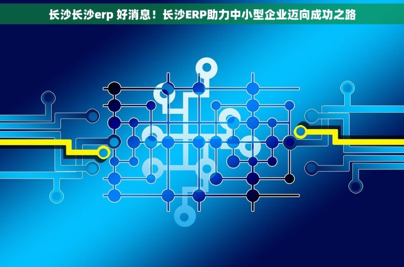 长沙长沙erp 好消息！长沙ERP助力中小型企业迈向成功之路