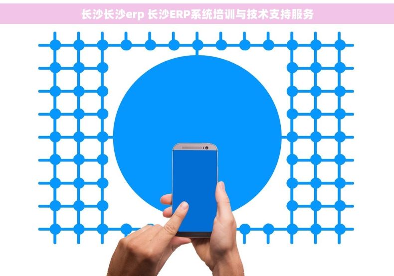长沙长沙erp 长沙ERP系统培训与技术支持服务