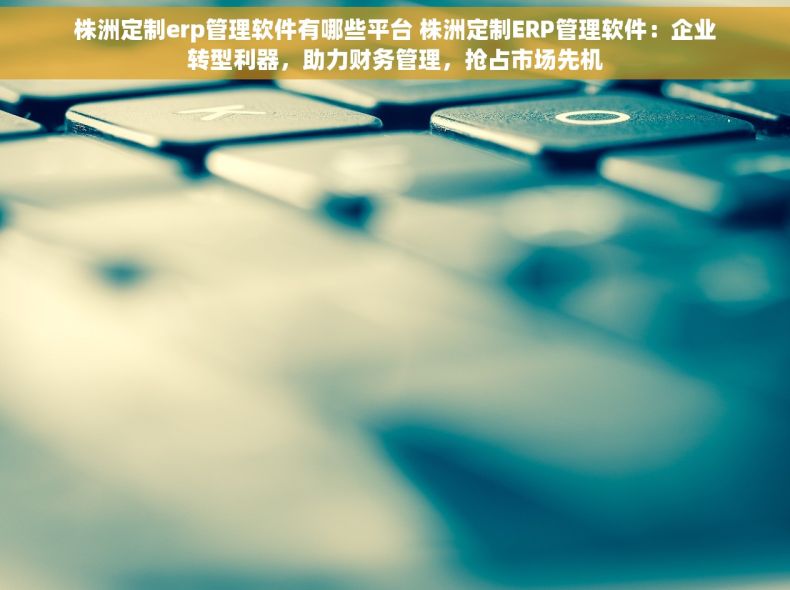 株洲定制erp管理软件有哪些平台 株洲定制ERP管理软件：企业转型利器，助力财务管理，抢占市场先机