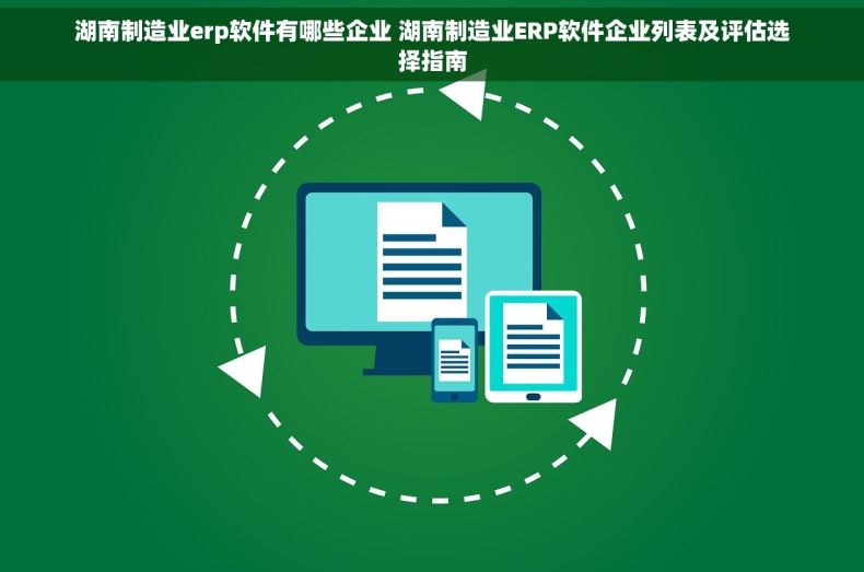 湖南制造业erp软件有哪些企业 湖南制造业ERP软件企业列表及评估选择指南