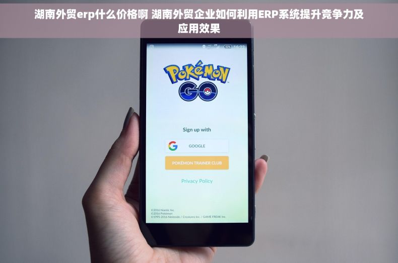 湖南外贸erp什么价格啊 湖南外贸企业如何利用ERP系统提升竞争力及应用效果