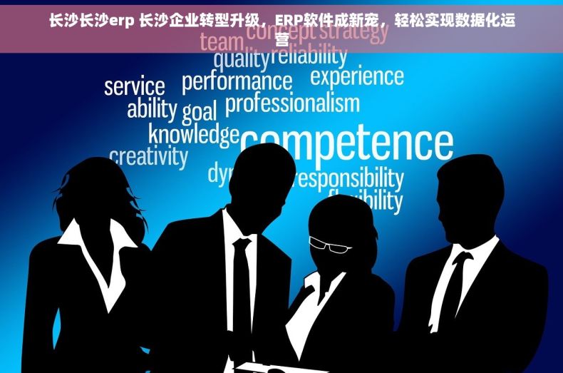长沙长沙erp 长沙企业转型升级，ERP软件成新宠，轻松实现数据化运营