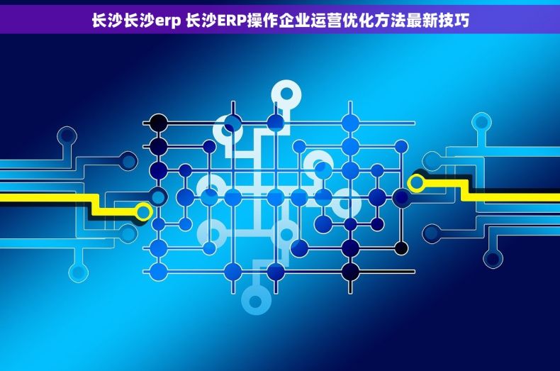 长沙长沙erp 长沙ERP操作企业运营优化方法最新技巧