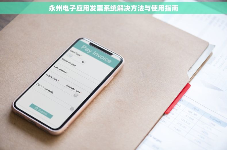 永州电子应用发票系统解决方法与使用指南