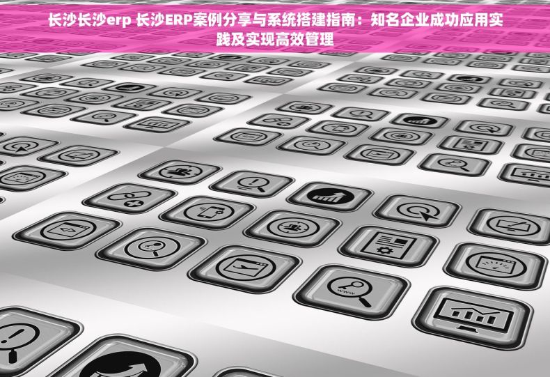 长沙长沙erp 长沙ERP案例分享与系统搭建指南：知名企业成功应用实践及实现高效管理