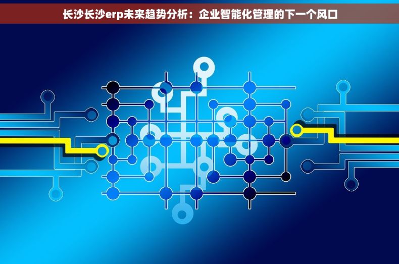 长沙长沙erp未来趋势分析：企业智能化管理的下一个风口