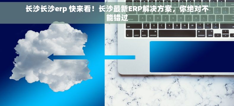 长沙长沙erp 快来看！长沙最新ERP解决方案，你绝对不能错过