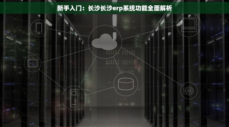 新手入门：长沙长沙erp系统功能全面解析