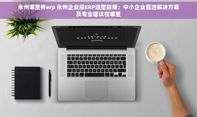 永州哪里有erp 永州企业级ERP选型指南：中小企业首选解决方案及专业建议在哪里