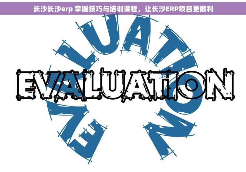 长沙长沙erp 掌握技巧与培训课程，让长沙ERP项目更顺利