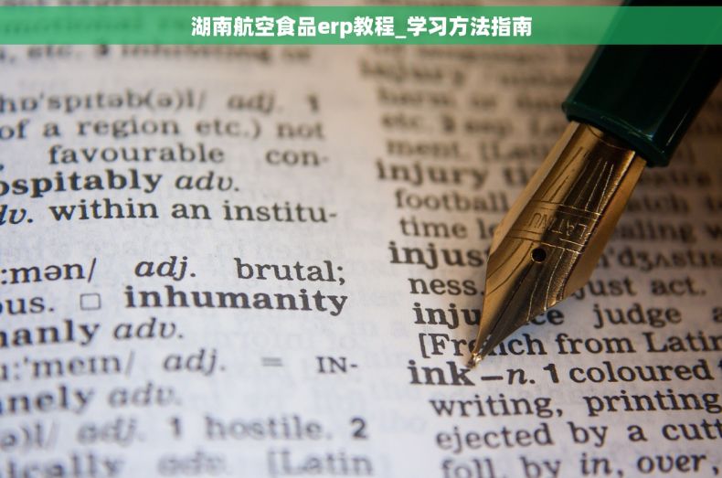 湖南航空食品erp教程_学习方法指南