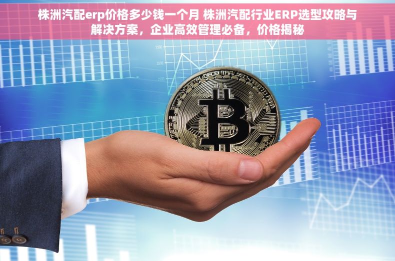株洲汽配erp价格多少钱一个月 株洲汽配行业ERP选型攻略与解决方案，企业高效管理必备，价格揭秘
