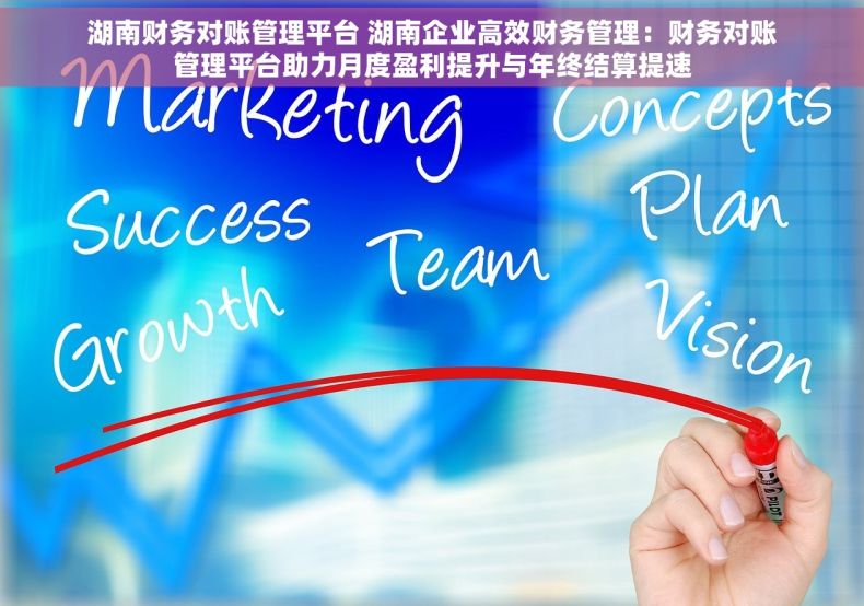 湖南财务对账管理平台 湖南企业高效财务管理：财务对账管理平台助力月度盈利提升与年终结算提速