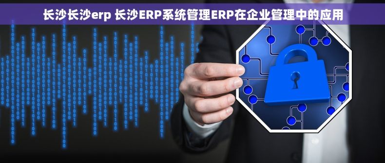 长沙长沙erp 长沙ERP系统管理ERP在企业管理中的应用